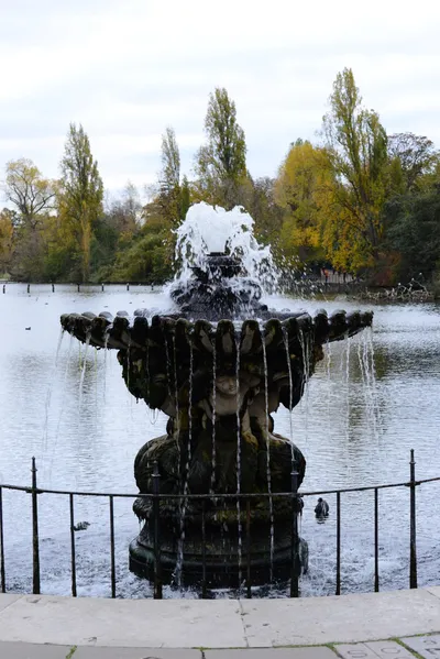 DSC_0562 (Large).JPG